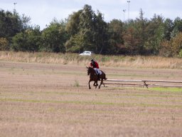 IMG_8492_web